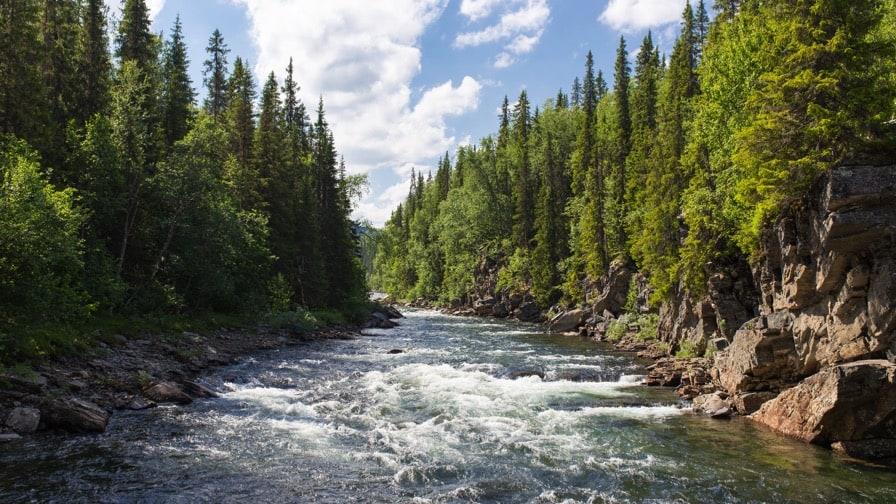 Pitstop untuk Para Penghafal Al-Qur’an 1 kisah thalut